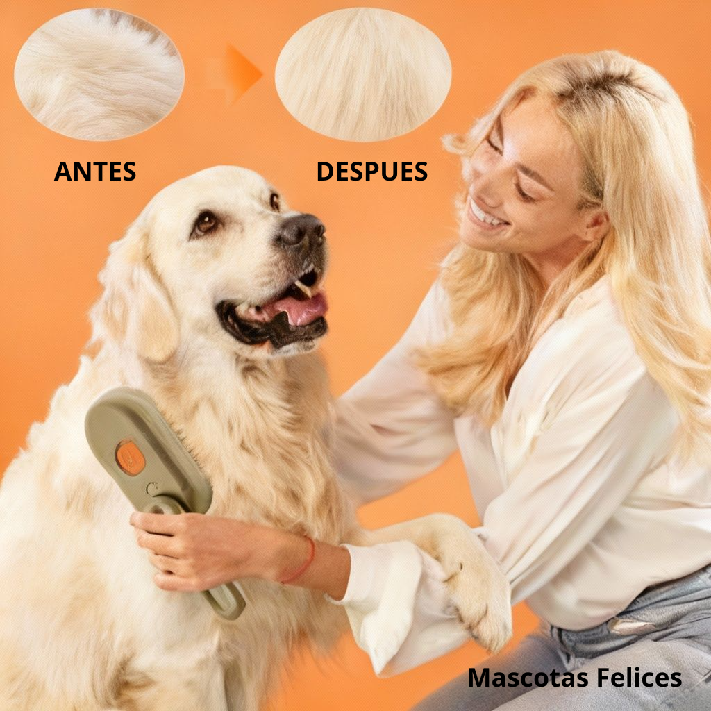 CEPILLO SPA ⭐PREMIUM⭐