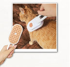 CEPILLO SPA ⭐PREMIUM⭐